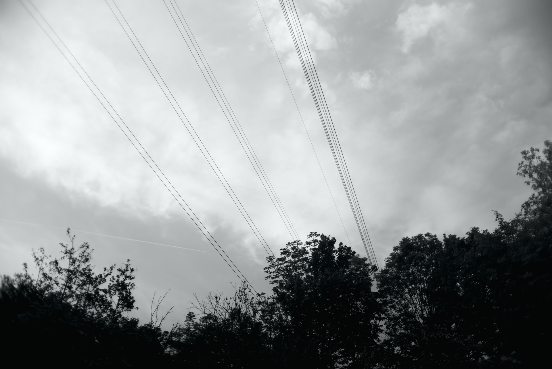 DSC04217