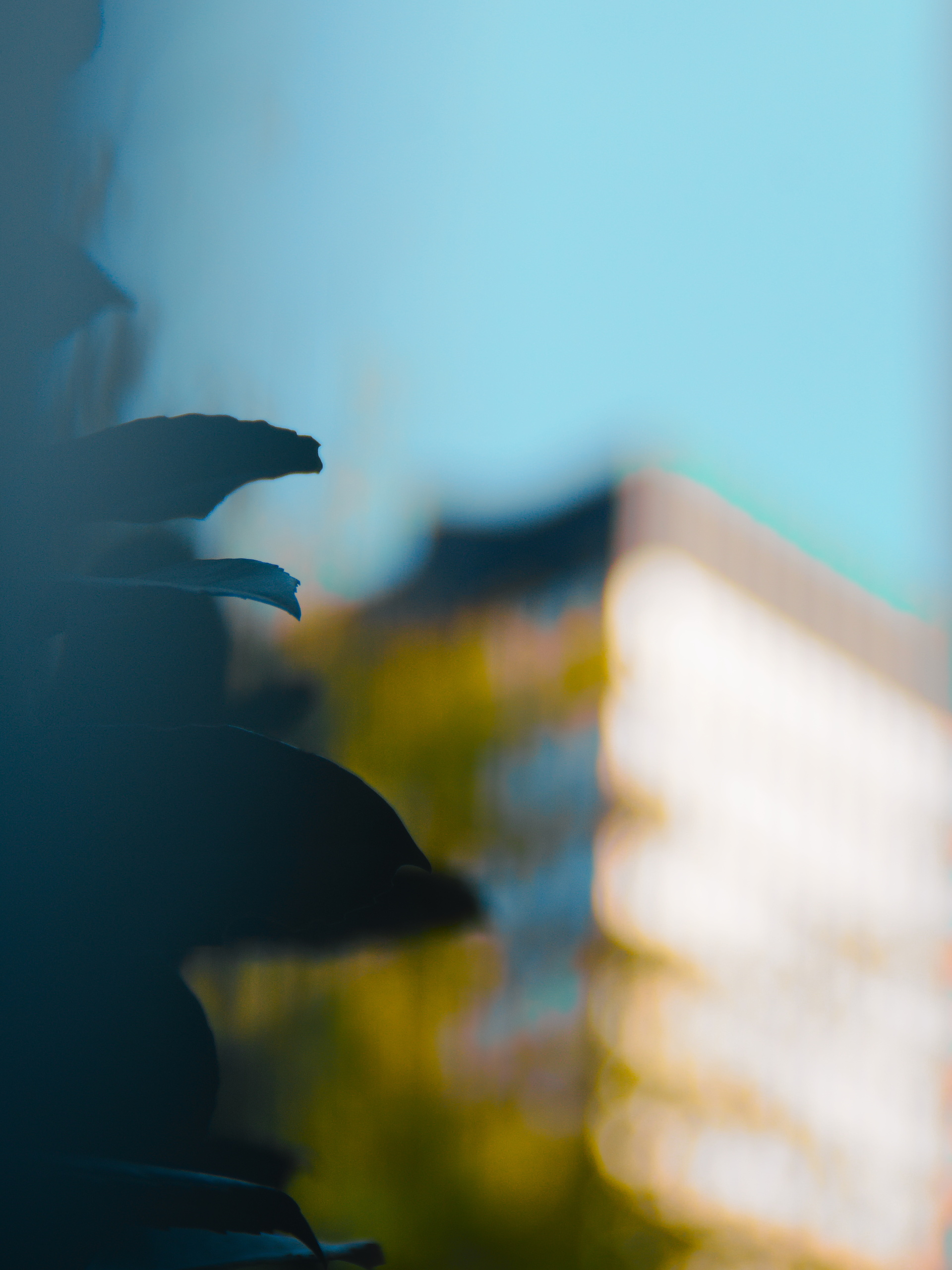 _DSC9632
