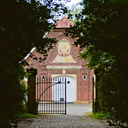 DSC05019