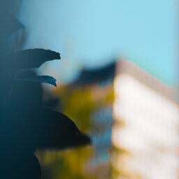 _DSC9632